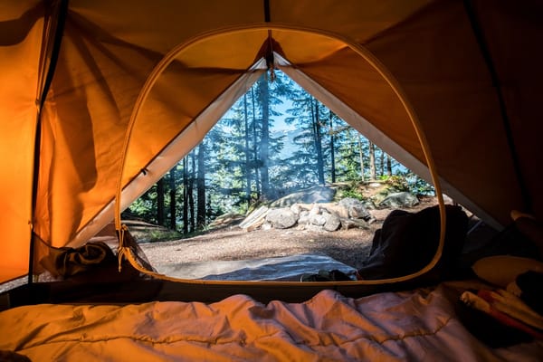 The SCOUTED Rubric: How We Rate Every Campground We Stay At